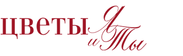 Цветы Я и Ты